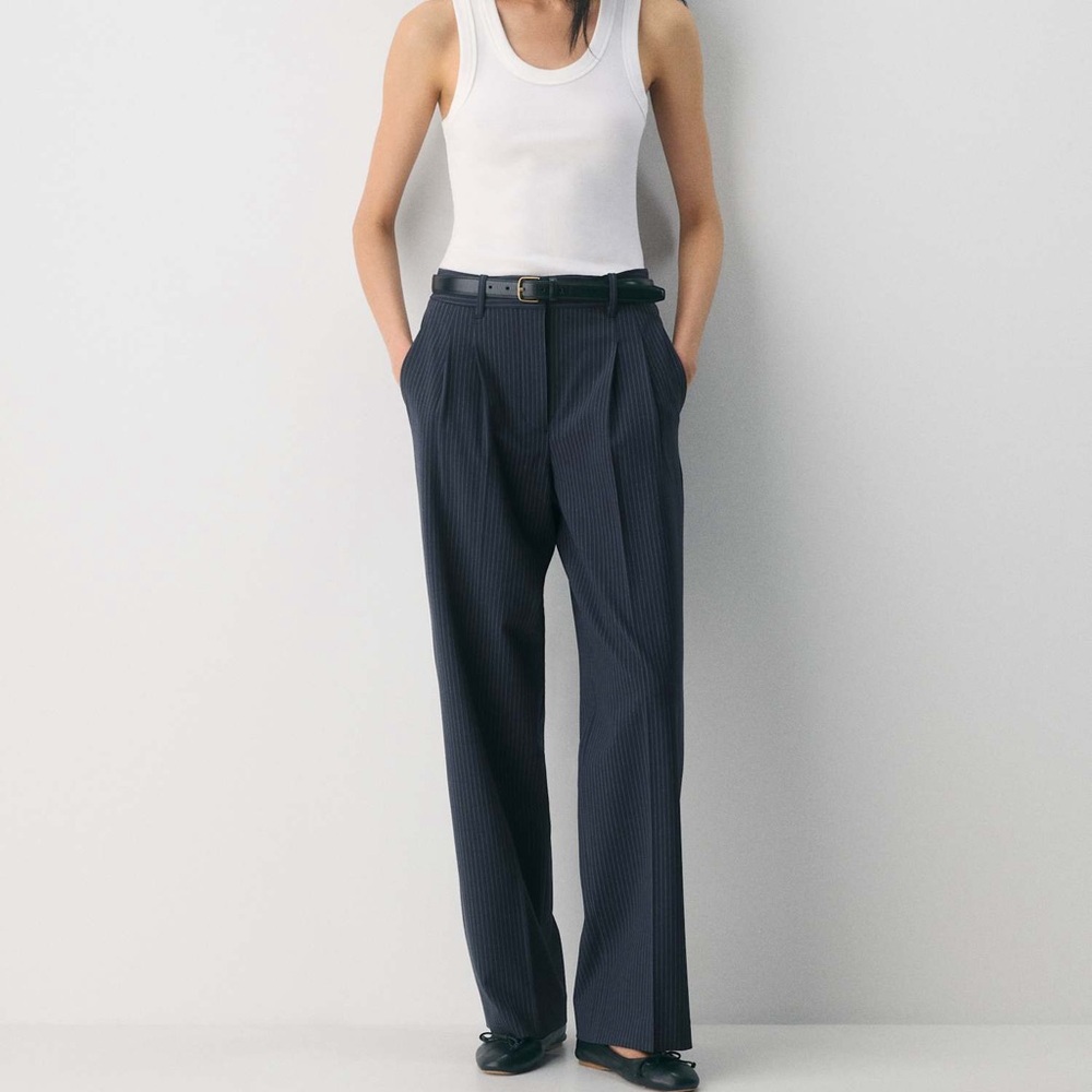 NEW Aritzia Navy Pinstripe Pleated High-Rise Trousers